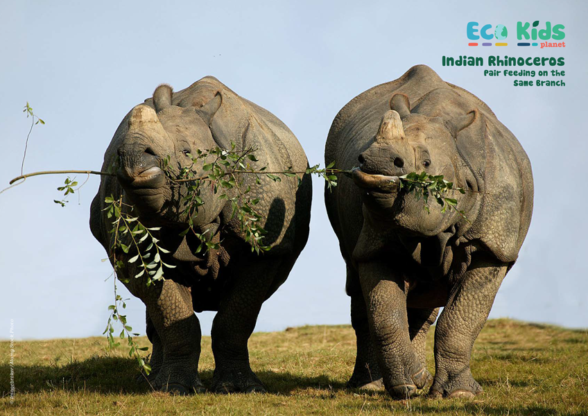 Kid&#39;s Nature Magazines – Issue 114 – Extreme Eaters