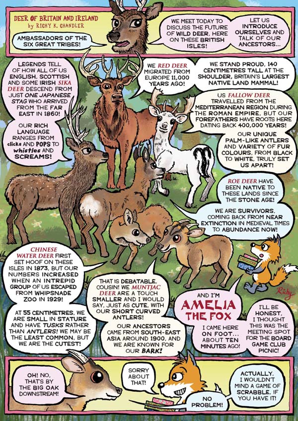 Kid&#39;s Nature Magazines – Issue 115 – Oh Deer!