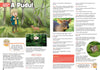 Eco Kids Planet Magazine – Standard Subscription