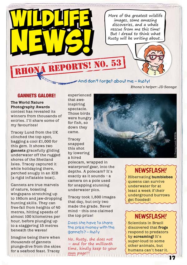 Kid&#39;s Nature Magazines – Issue 115 – Oh Deer!