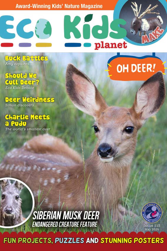 Kid's Nature Magazines – Issue 115 – Oh Deer!