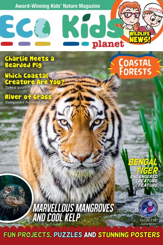 Kid's Nature Magazines – Issue 116 – Coastal Forests