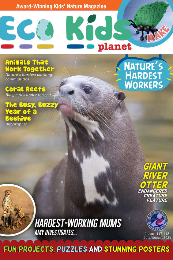 Kid's Nature Magazines – Issue 117-118 – Nature's Hardest Workers