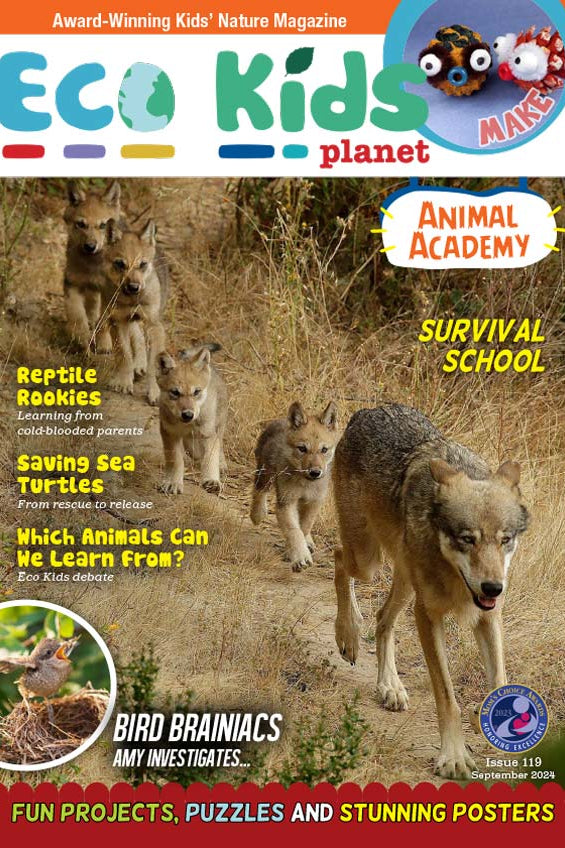 Kid's Nature Magazines – Issue 119 – Animal Academy