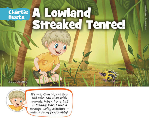 Kid&#39;s Nature Magazines – Issue 120 – Yikes – Spikes!