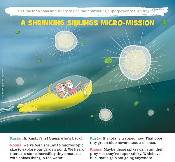 Kid&#39;s Nature Magazines – Issue 120 – Yikes – Spikes!