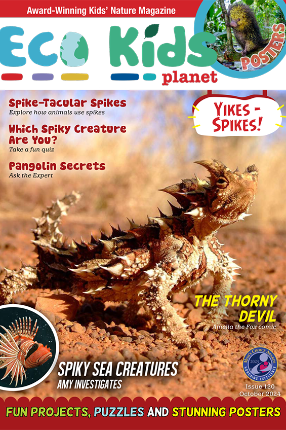 Kid's Nature Magazines – Issue 120 – Yikes – Spikes!