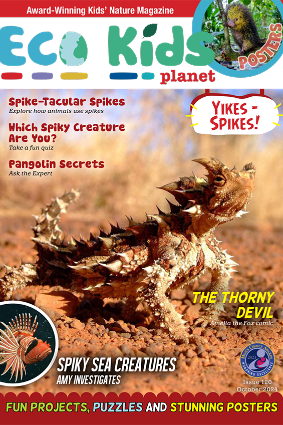 Eco Kids Planet  – Bundle of Six