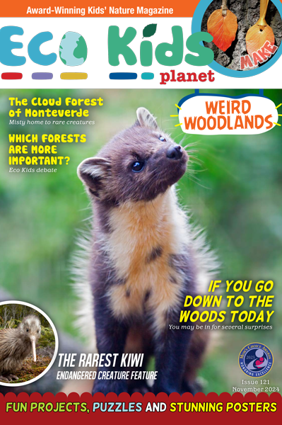 Kid's Nature Magazines – Issue 121 – Weird Woodlands