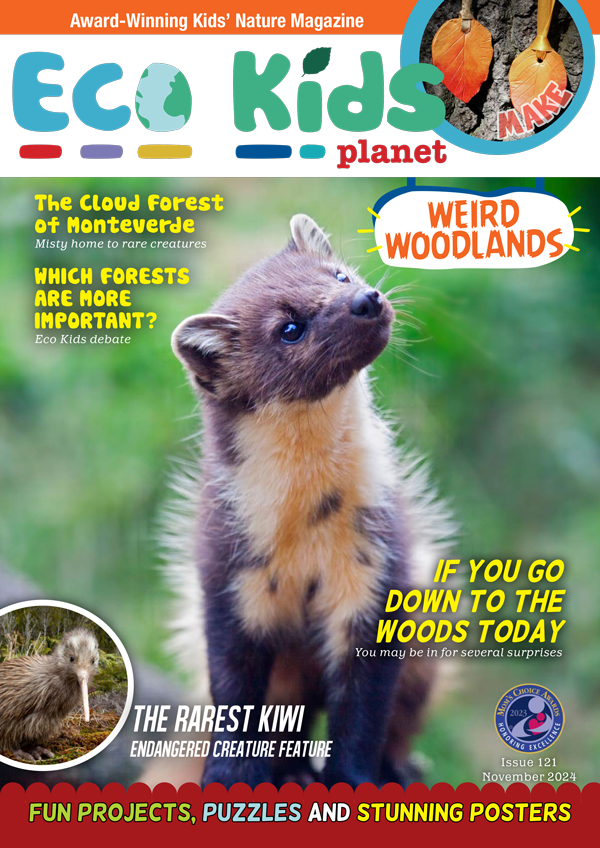 Eco Kids Planet Magazine - 12-Monthly Subscription (Freebie)