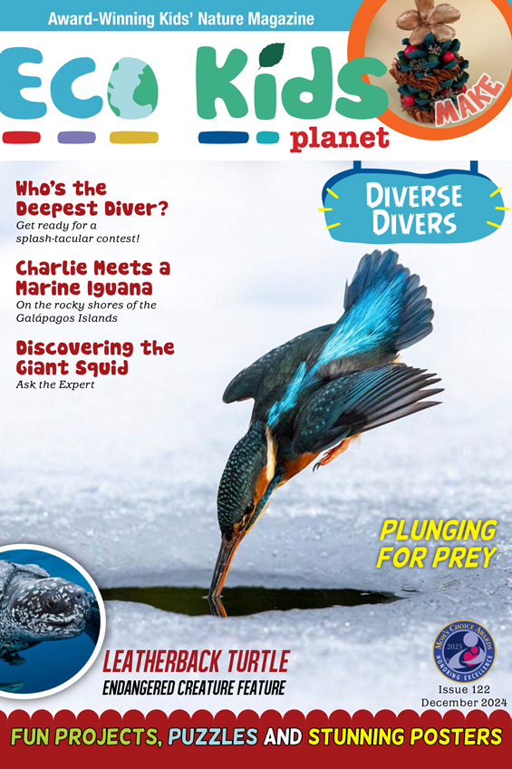 Kid's Nature Magazines – Issue 122 – Diverse Divers