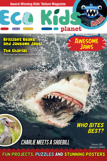 Kid's Nature Magazines – Issue 123 – Awesome Jaws