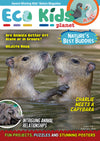 Eco Kids Planet  – Bundle of Six