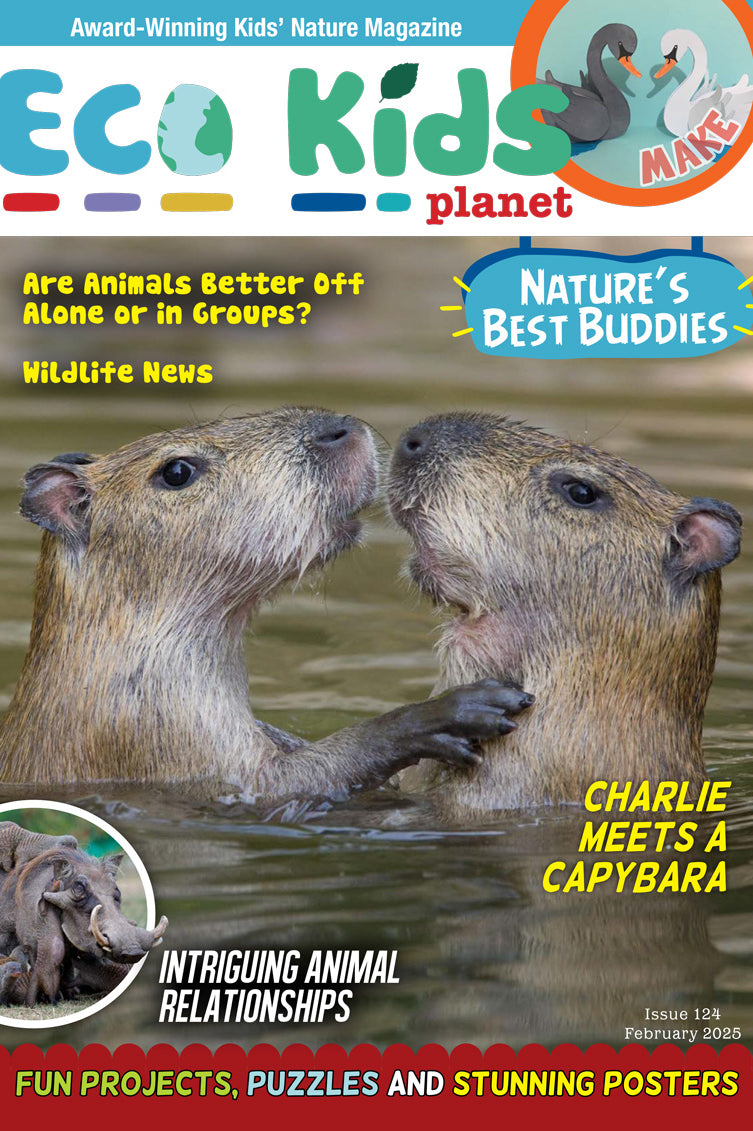 Eco Kids Planet  – Bundle of Three