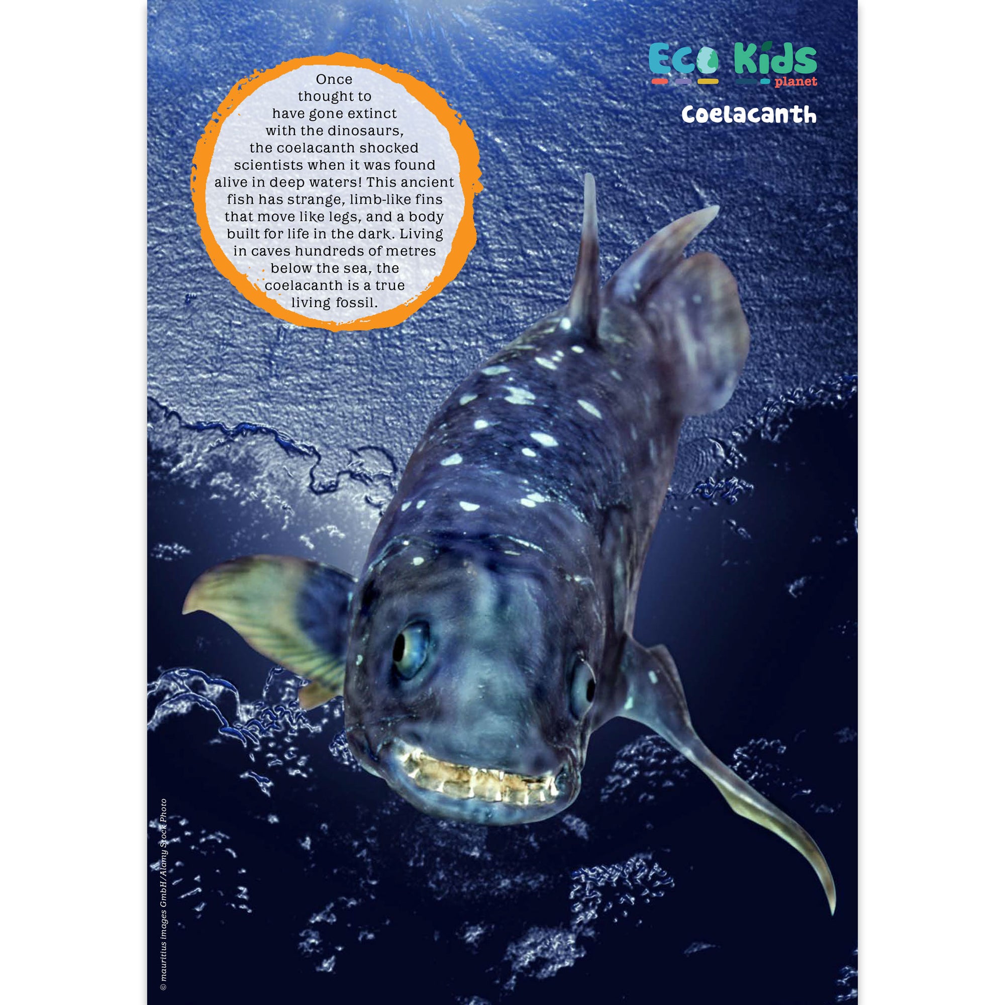 Kid&#39;s Nature Magazines – Issue 126 – Masters of Time