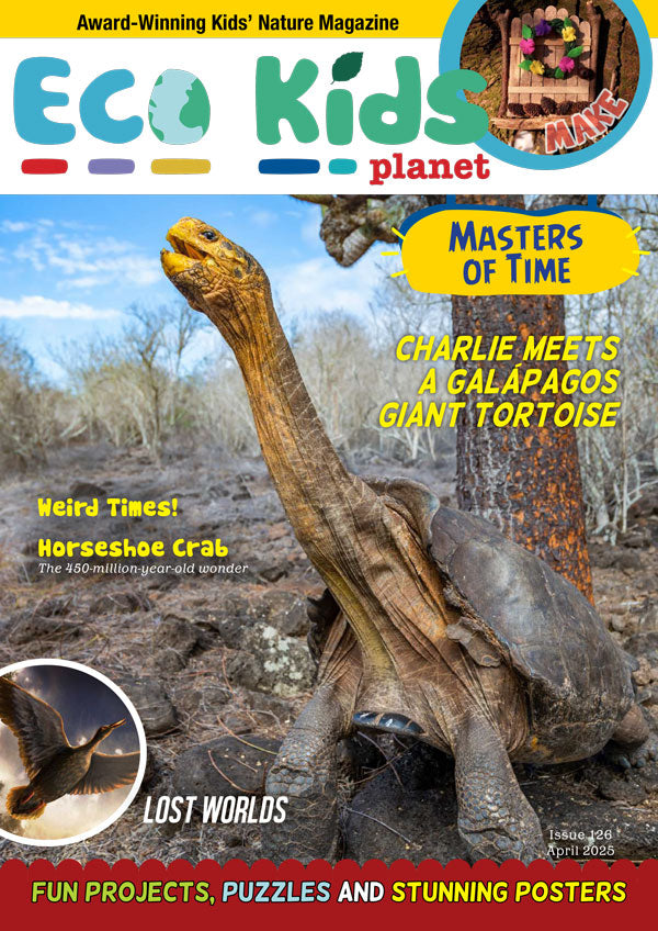 Eco Kids Planet  – Bundle of Three