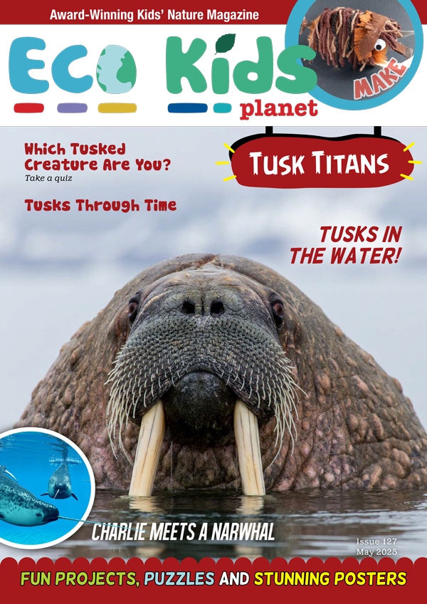 Kid's Nature Magazines – Issue 127 – Tusk Titans