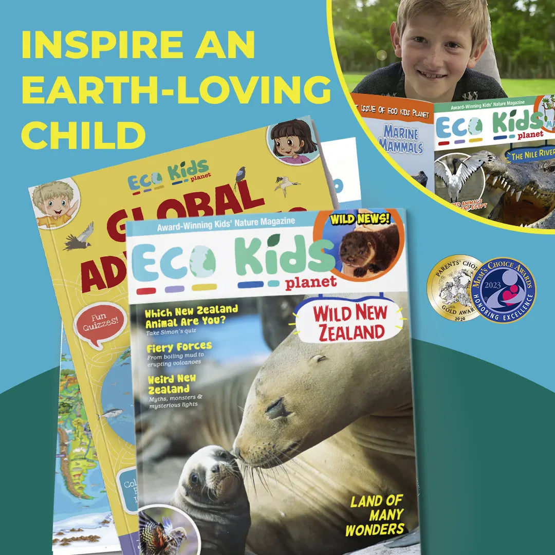 Magazine Subscriptions for Kids: Gift | Eco Kids Planet