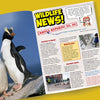 Magazine Subscription for Kids: Taster | Eco Kids Planet