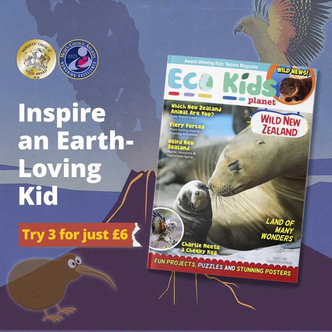 Magazine Subscription for Kids: Taster | Eco Kids Planet