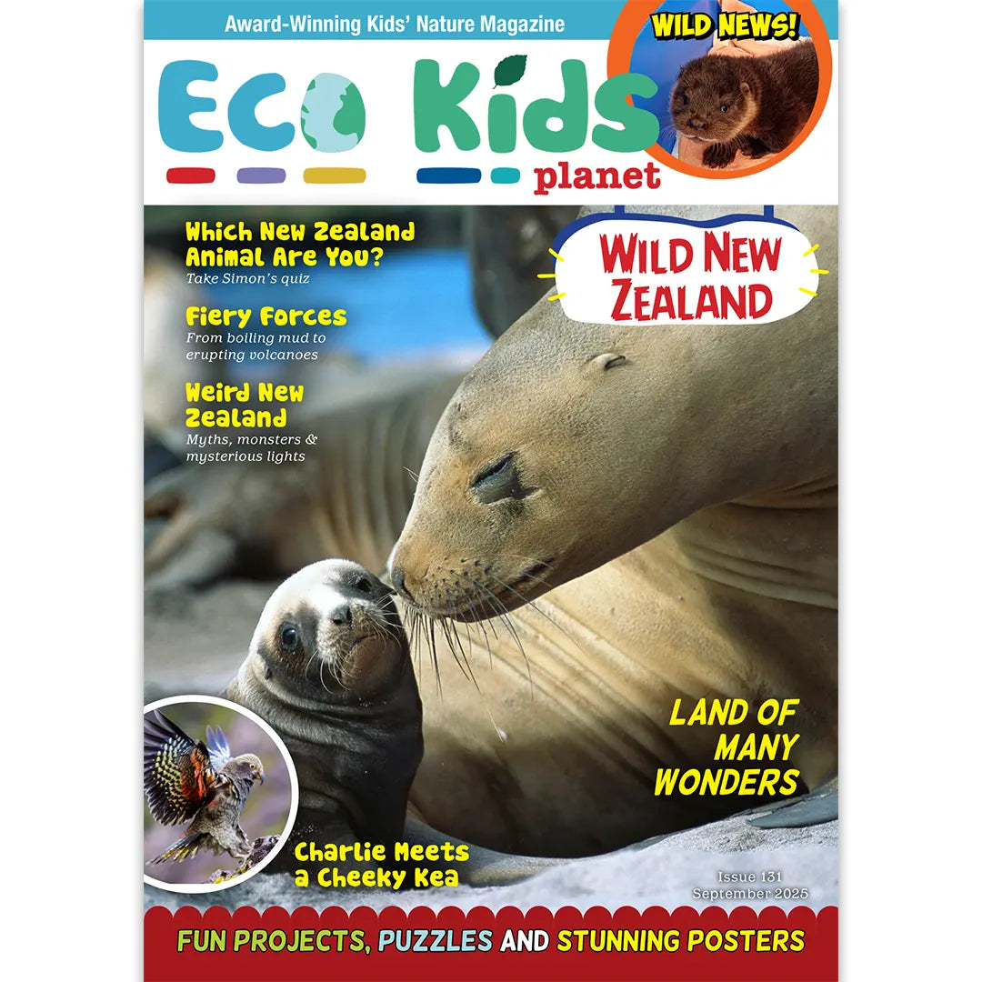 Eco Kids Planet  – Bundle of Six