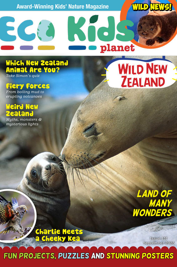 Kid's Nature Magazines – Issue 131 – Wild New Zealand