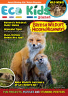 Magazine Subscription – One-Off Renewal