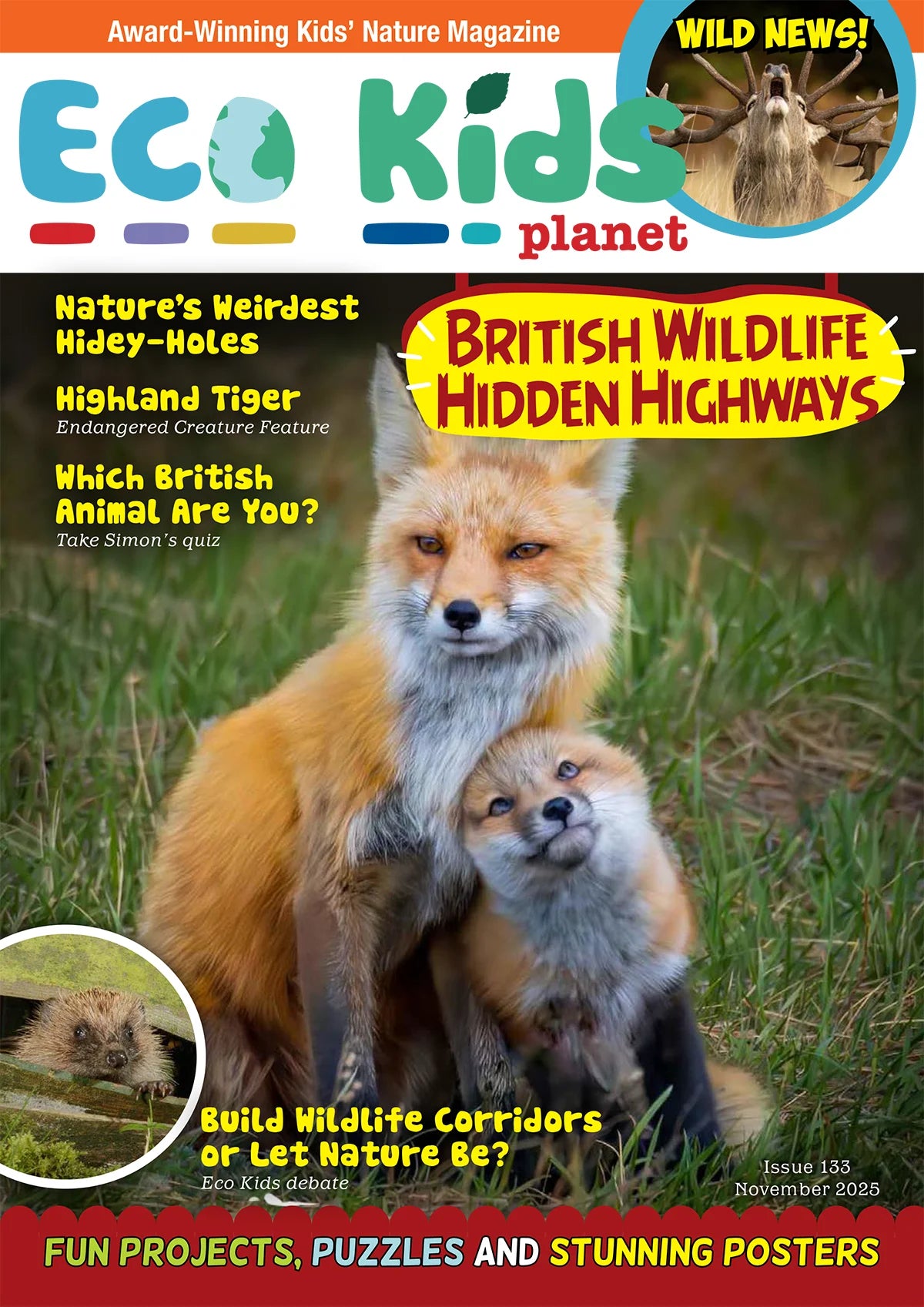 Eco Kids Planet Subscription - Renewal