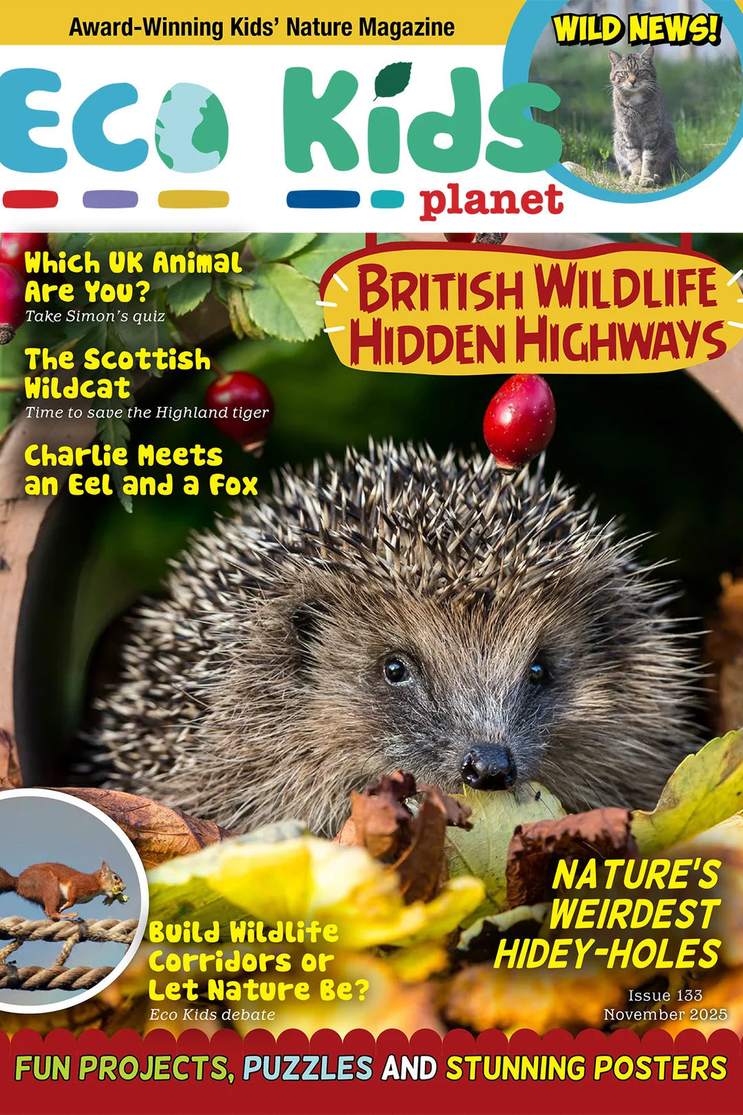 Kid's Nature Magazines – Issue 133 – British Wildlife Hidden Highways
