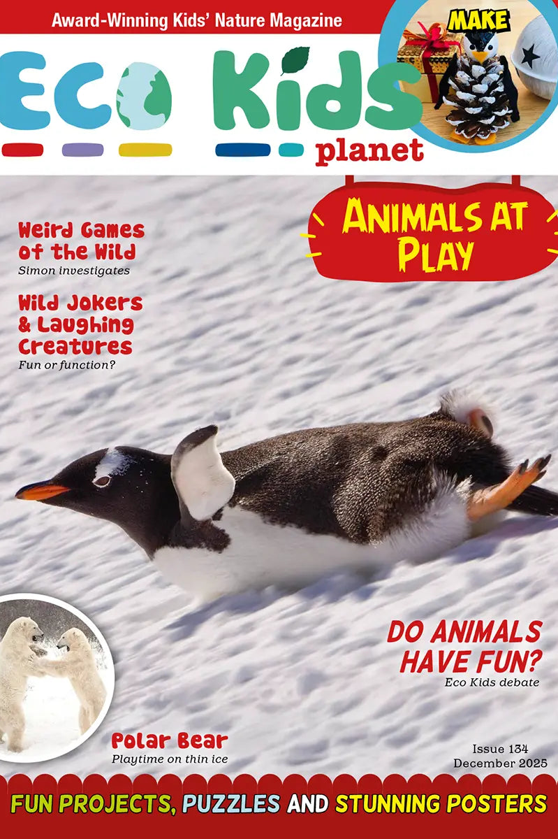 Eco Kids Planet Issue 134: Animals at Play – cover featuring a gentoo penguin sliding across snow, plus callouts for playful wildlife stories, posters and eco crafts.