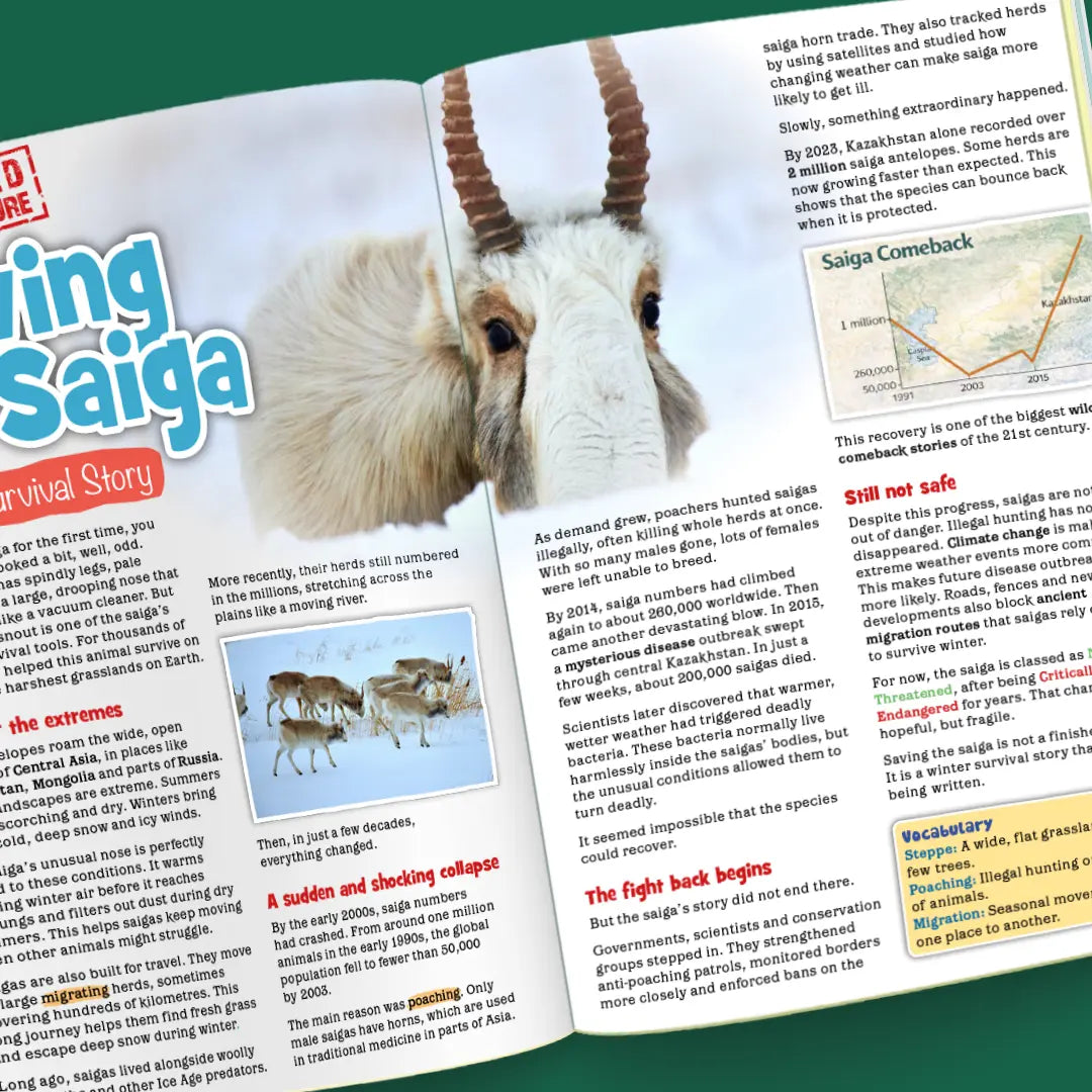 Kid's Nature Magazines – Issue 135 – Midwinter Wonder!