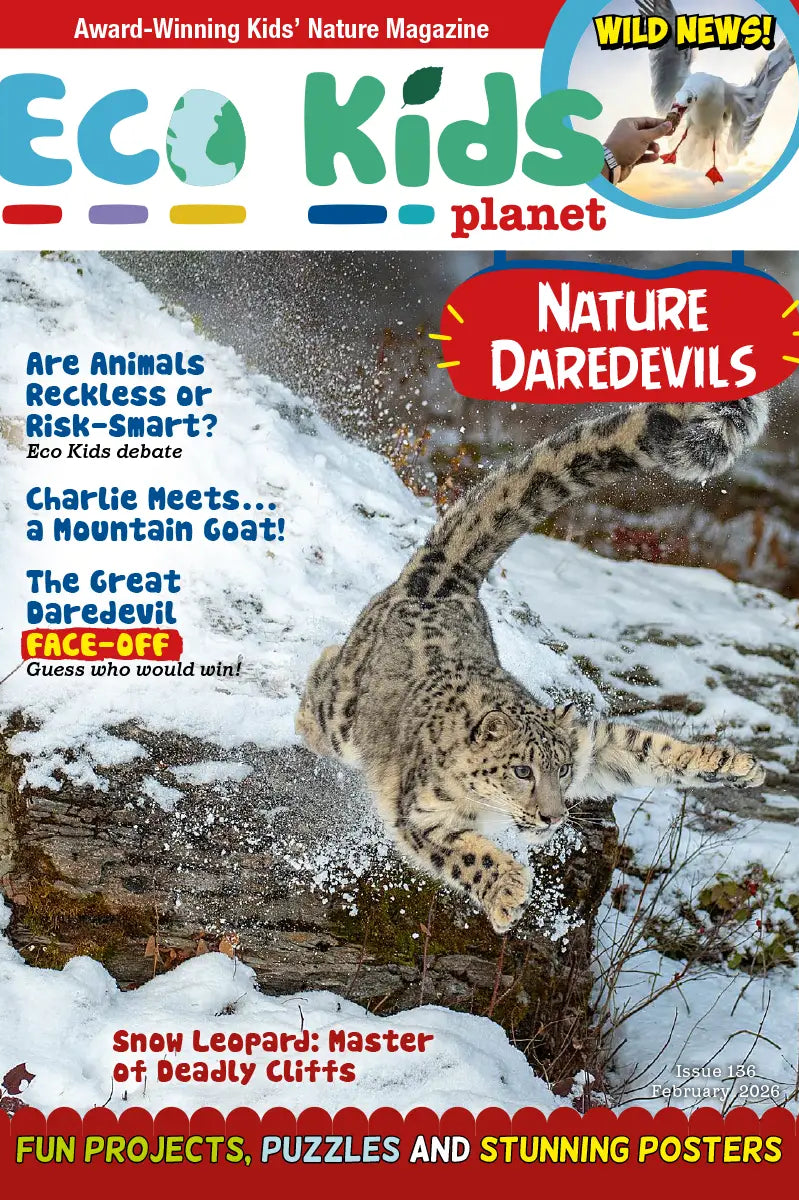 Kid's Nature Magazines – Issue 136 – Nature's Daredevils