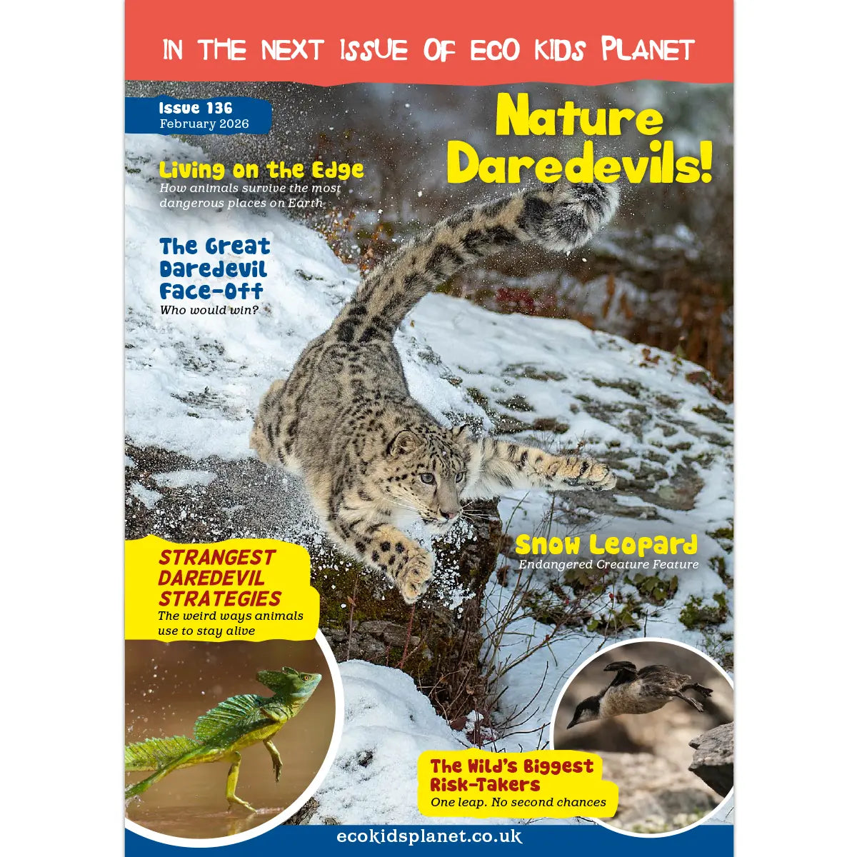 Magazine Subscription – One-Off Renewal