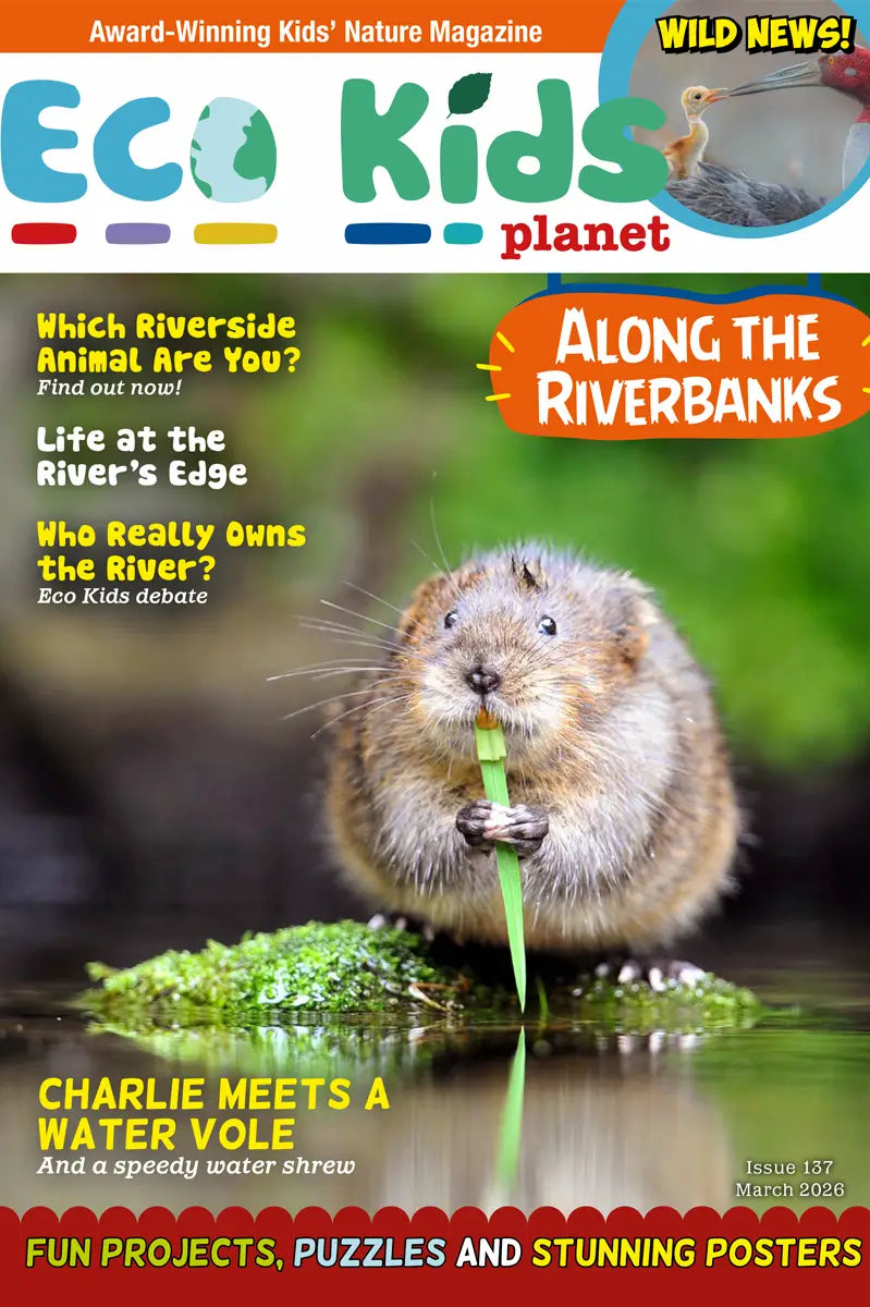 Kid's Nature Magazines – Issue 137 – Along the Riverbanks