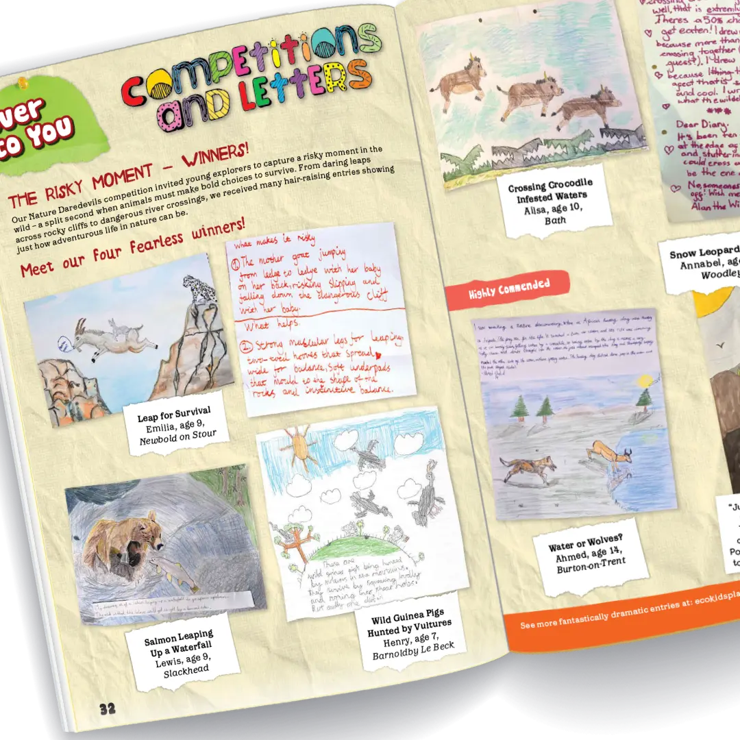 children competition entries art competition nature magazine