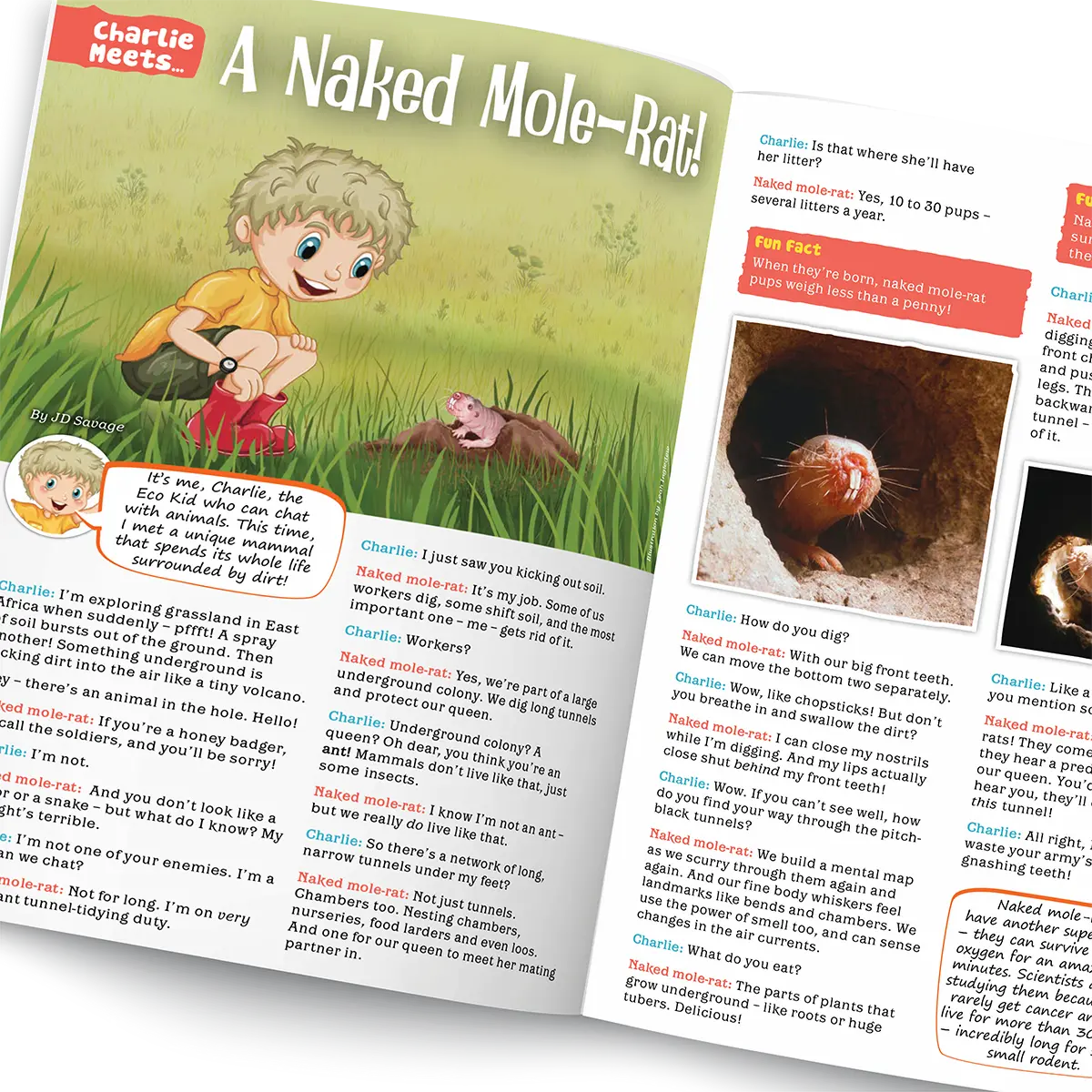 Children's nature magazine open to a page about a naked mole-rat, with illustrations and text.