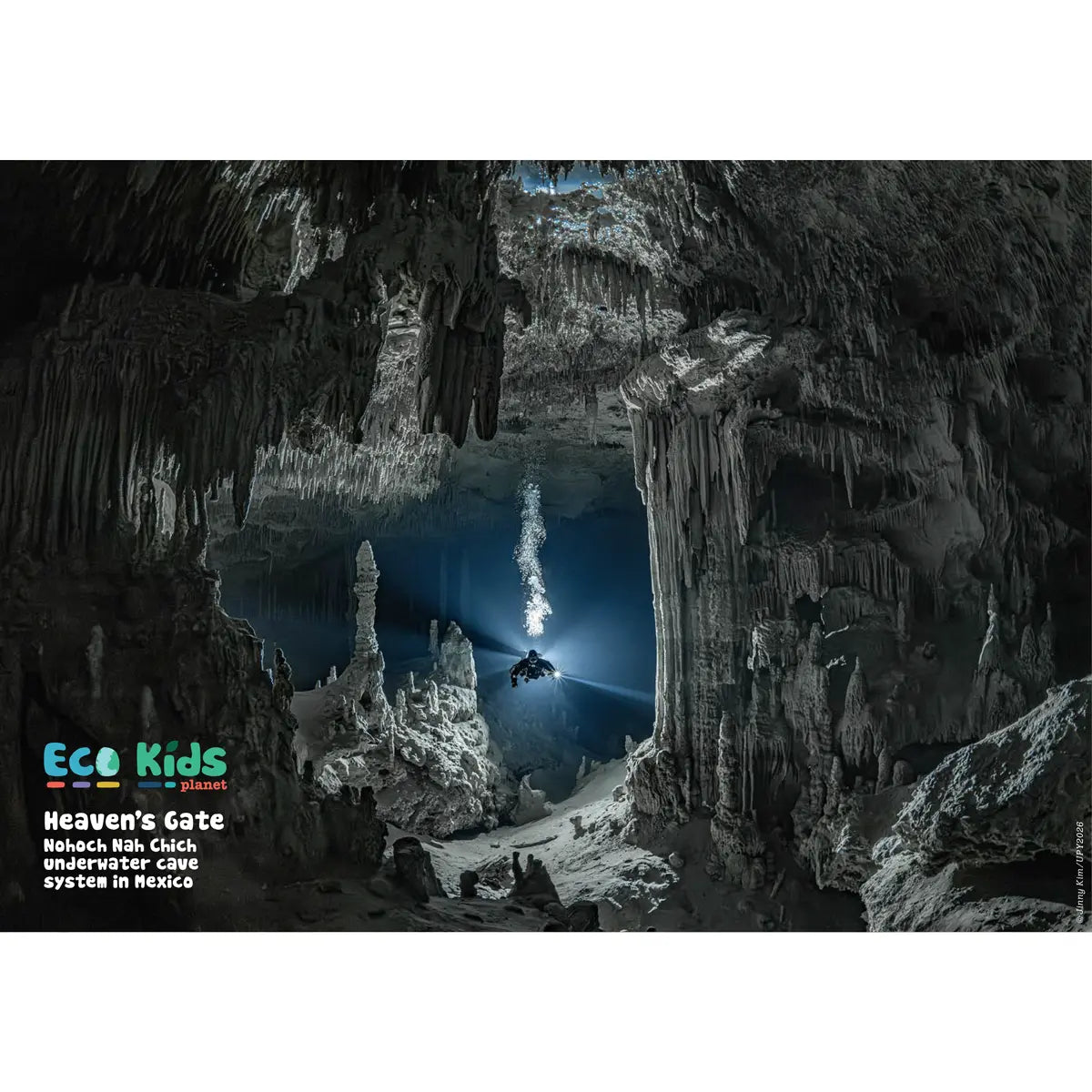 Children's nature magazine poster underwater cave