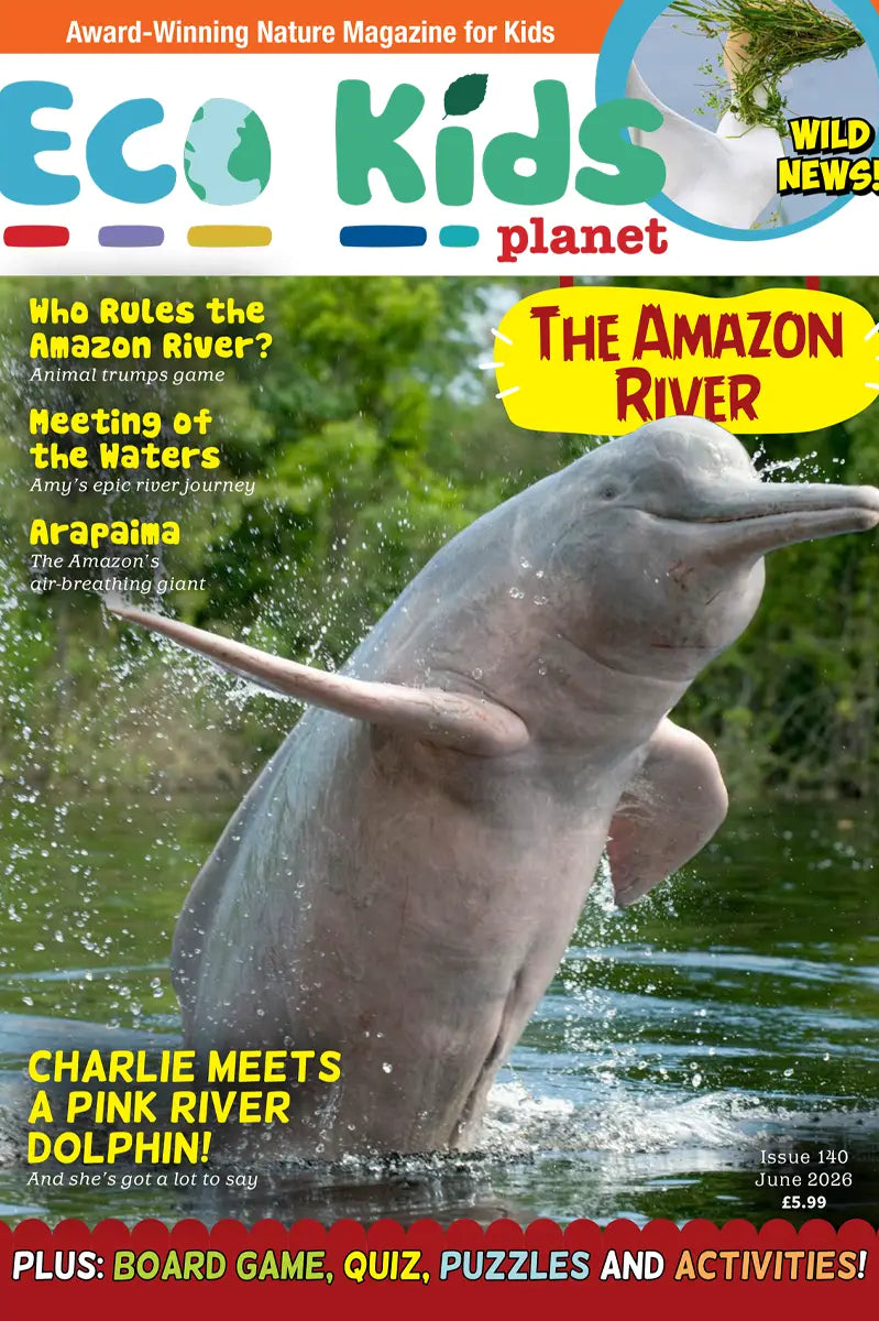 Kid's Nature Magazines – Issue 140 – The Amazon River