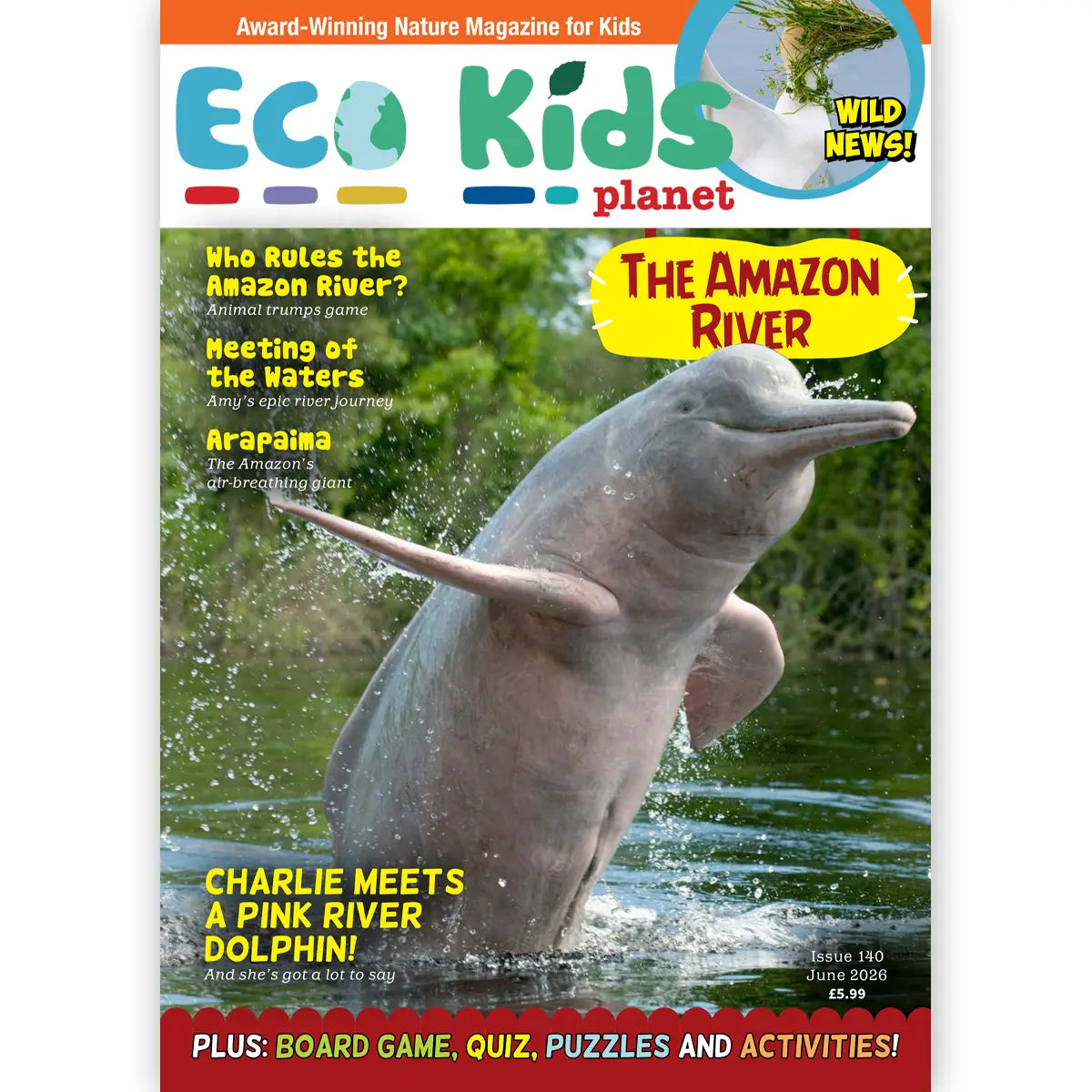 Eco Kids Planet Magazine – Gift Subscription