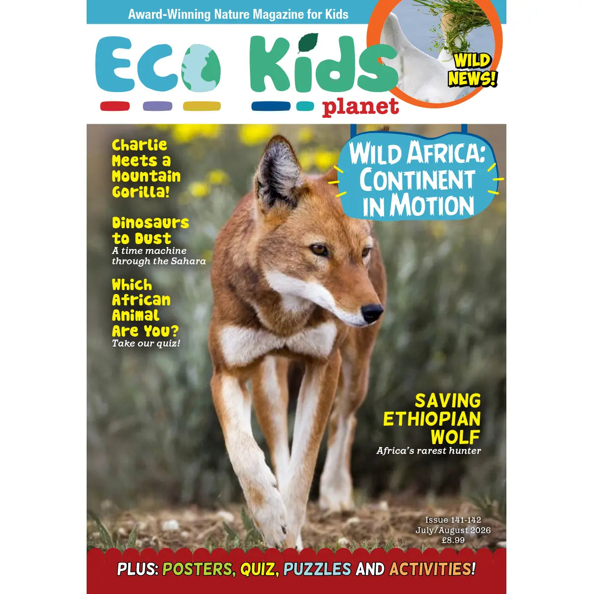 Eco Kids Planet Magazine – Starter Subscription