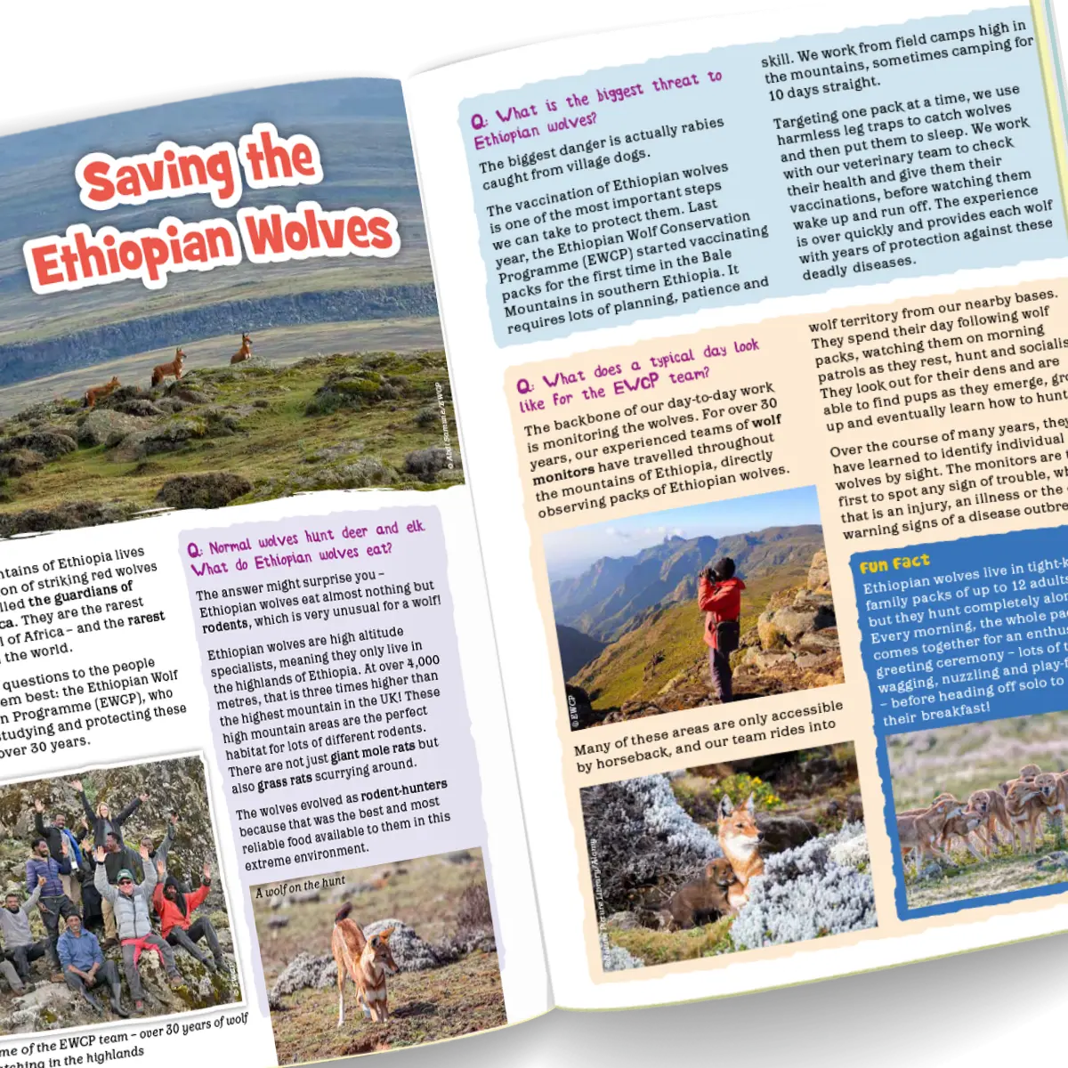 Eco Kids Planet Magazine – Starter Subscription