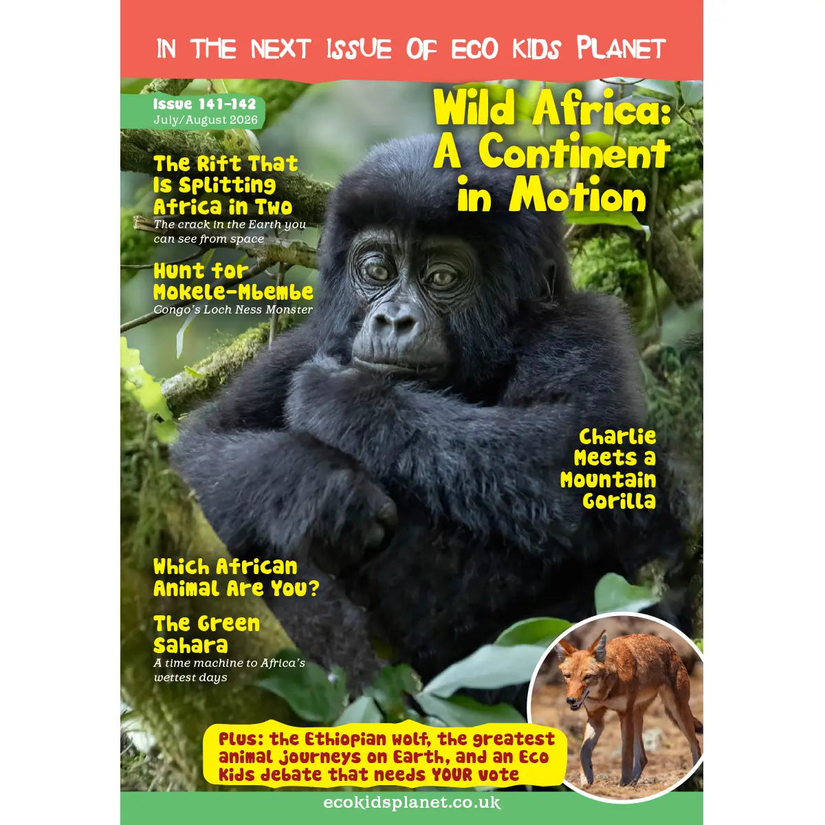 Eco Kids Planet Subscription - Renewal