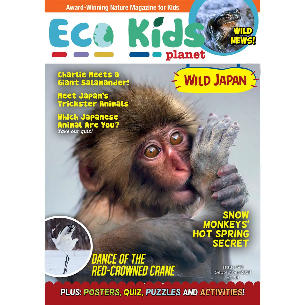 Eco Kids Planet Magazine – Starter Subscription