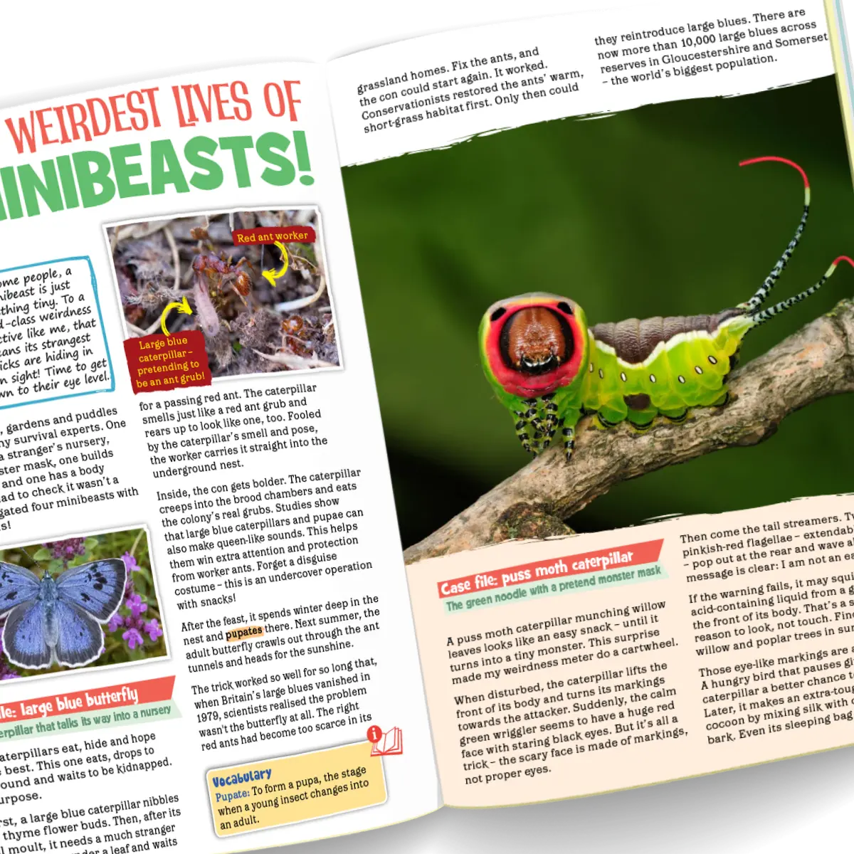 Eco Kids Planet Magazine – Gift Subscription