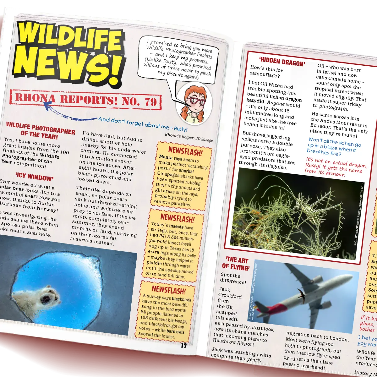 Eco Kids Planet Magazine – Gift Subscription