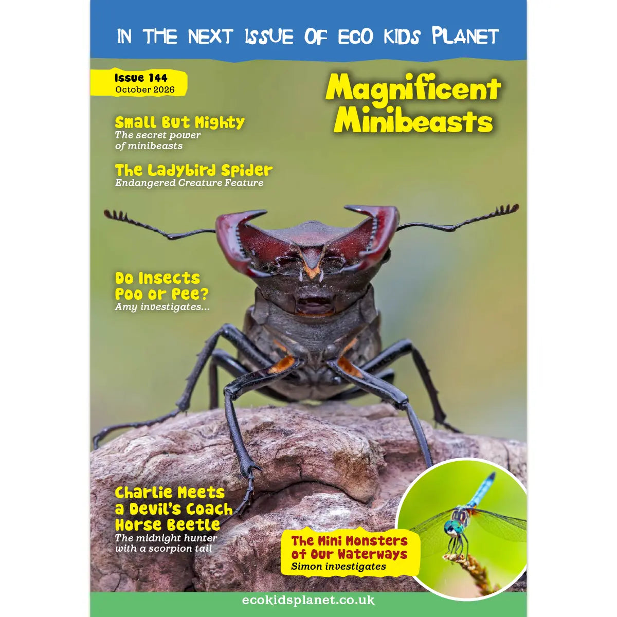 Eco Kids Planet Renewal - 3-Monthly Subscription