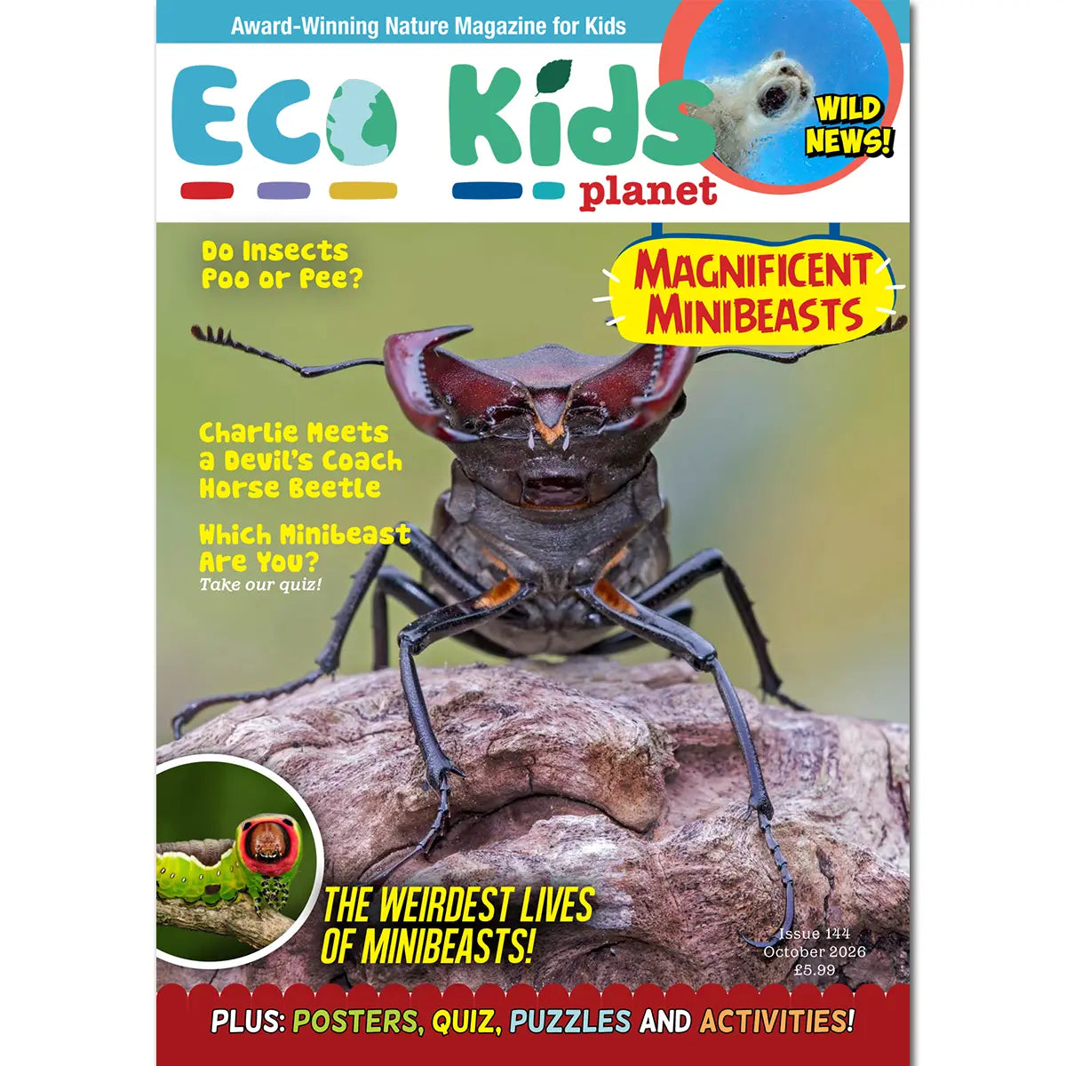 Eco Kids Planet Magazine – Starter Subscription