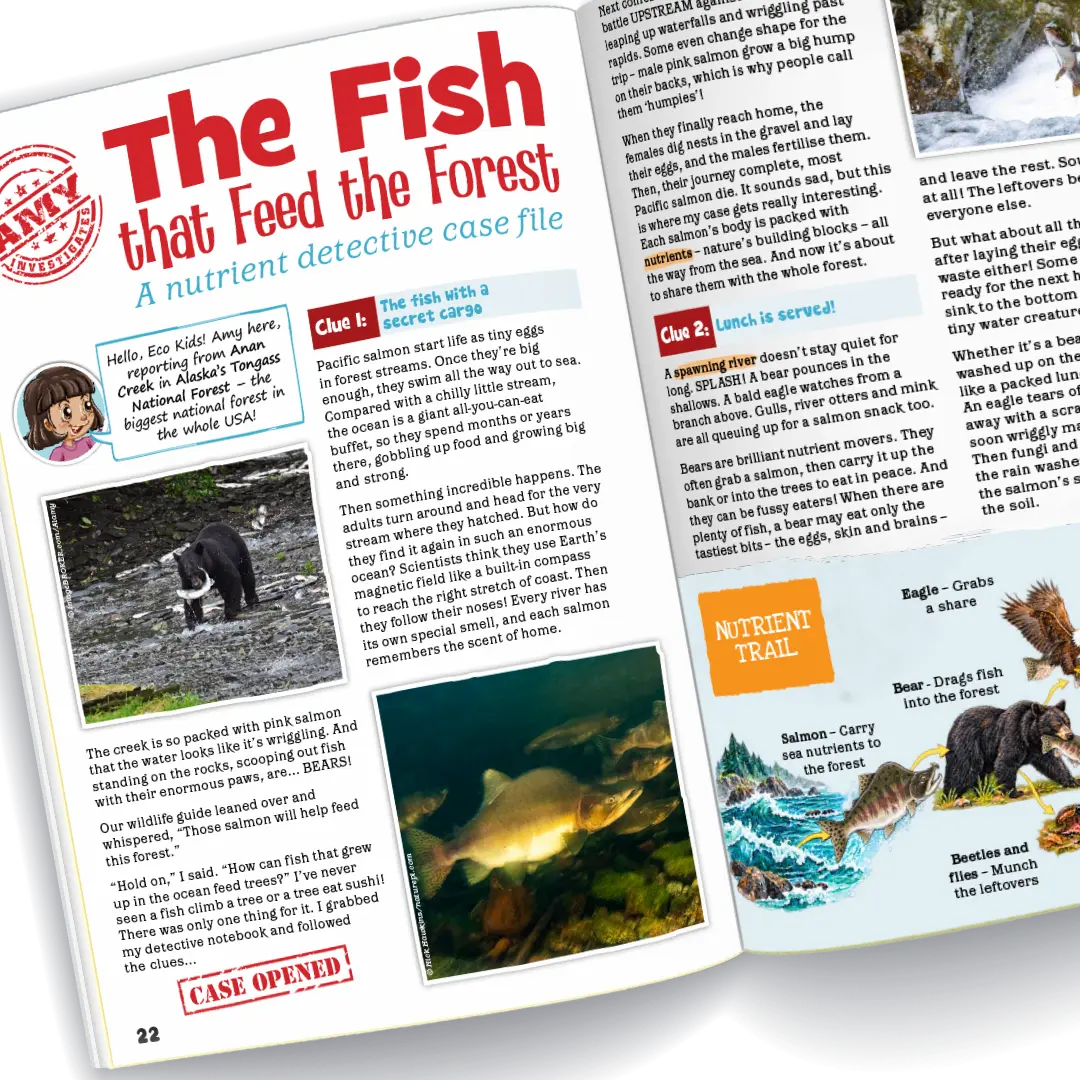 Kid's Nature Magazines – Issue 145 – The American Wild