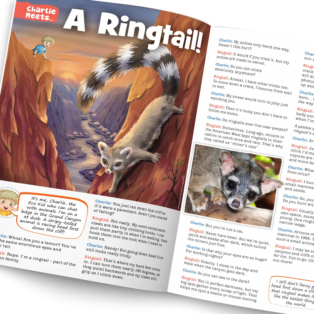 Kid's Nature Magazines – Issue 145 – The American Wild