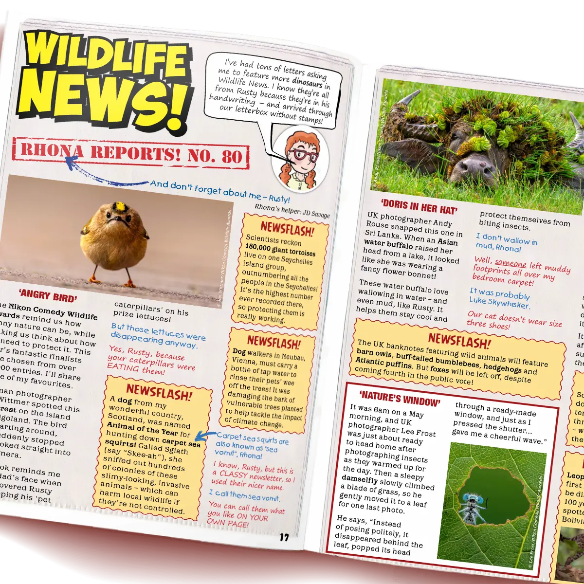 Kid's Nature Magazines – Issue 145 – The American Wild